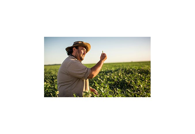 Syngenta Crop Protection announces PLINAZOLIN? technology: setting a new standard in innovative insect control